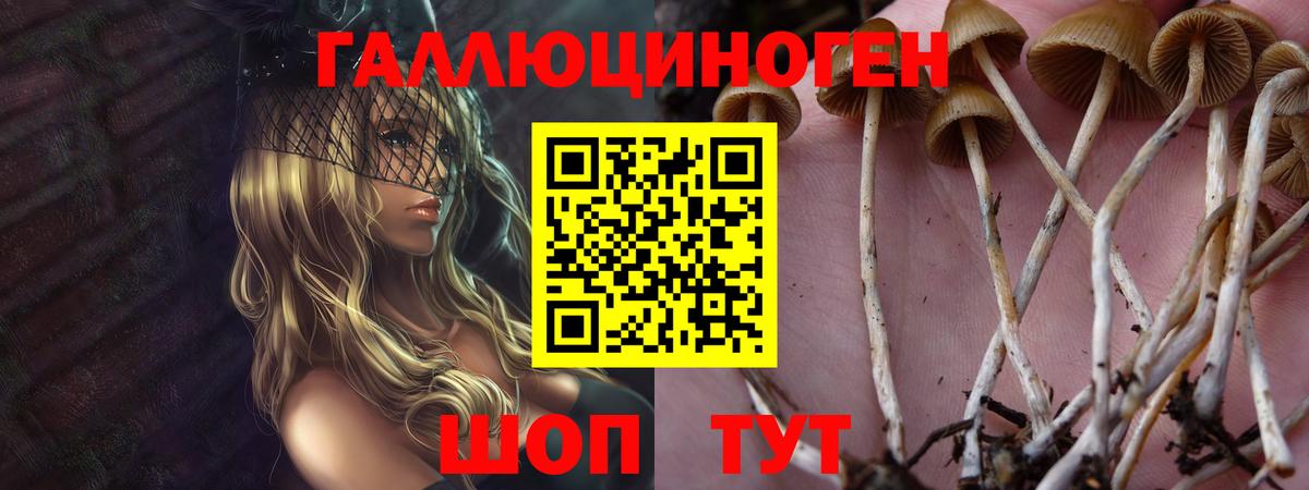 Псилоцибиновые грибы мицелий Одинцово